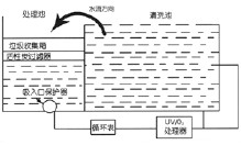 2024年新奥门资料